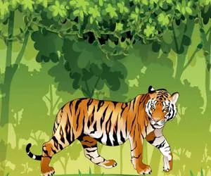 Play Angry Tiger Coloring