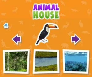 Game Animal House Game