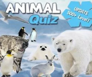 Game Animal Quiz