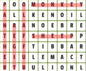 Game Animals Word Search