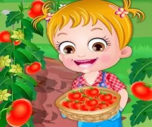 Game Baby Hazel Tomato Fa