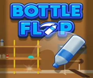 Game Bottle Flip