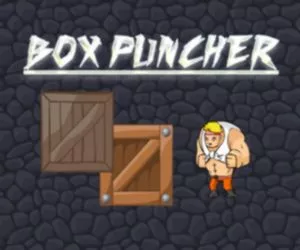 Game Box Puncher