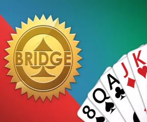 Game Bridge Cards