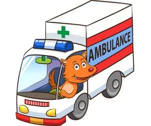 Game Cartoon Ambulance Pu