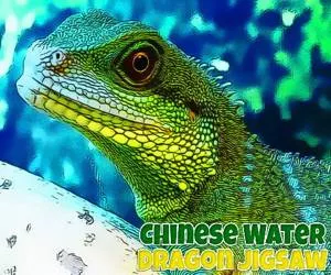 Game Chinese Water Dragon