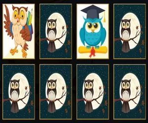 Game Cute Owl Memory