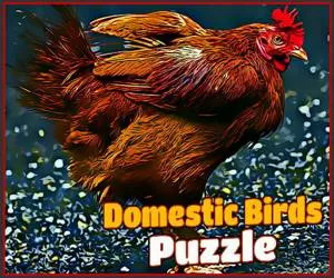 Game Domestic Birds Puzzl