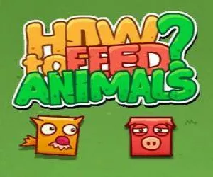 Game How To Feed Animals