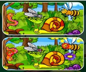 Game Insects Photo Differ