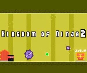 Game Kingdom Of Ninja 2