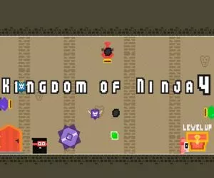 Game Kingdom Of Ninja 4