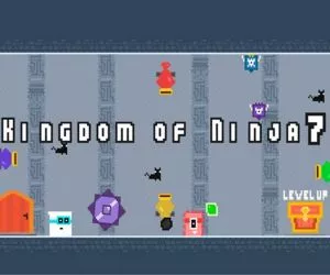 Game Kingdom Of Ninja 7