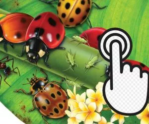 Game Ladybug Clicker