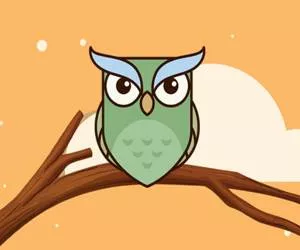 Game Magic Owl Coloring