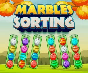 Game Marbles Sorting