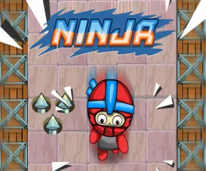 Game Ninja