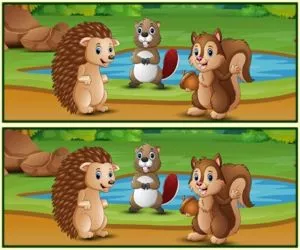 Spot The Differences Forests full screen