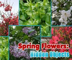 Game Spring Flowers Hidde