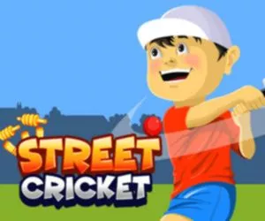 Game Street Cricket