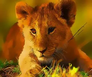 Game Wild Baby Animals Ji